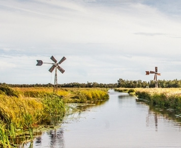 Weerribben met Autohopper