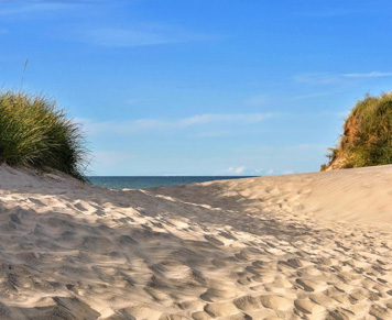 Langs de duinen met Autohopper