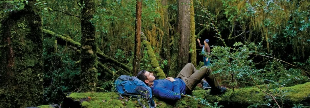 Elektrische auto's van Autohopper zijn stil