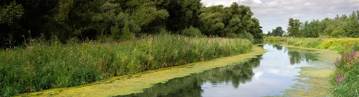 naar de biesbosch in een huurauto