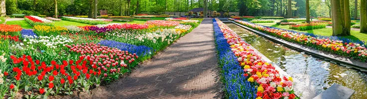 Bezoek keukenhof bloemenpark in autohopper auto