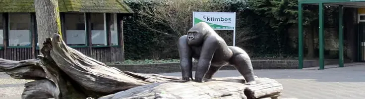 apenheul bezoeken met autohopper