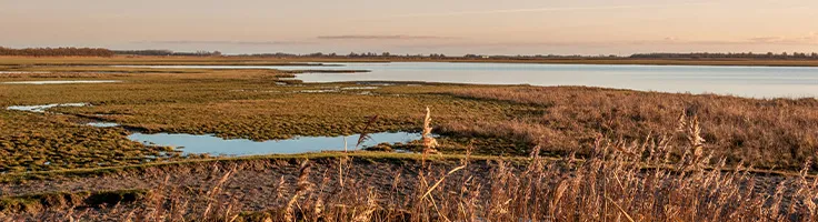naar Lauwersmeer met autohopper