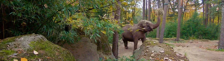 naar burgers zoo met autohopper