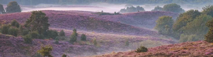 posbank met autohopper