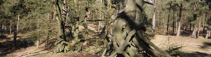 Bezoek de Emmerdennen