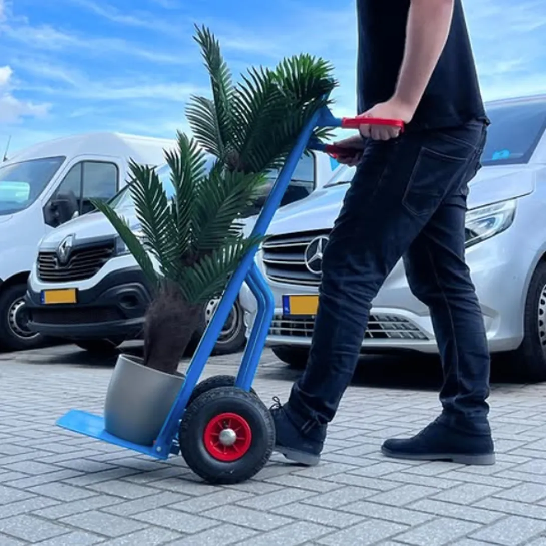 steekwagen bij autohopper