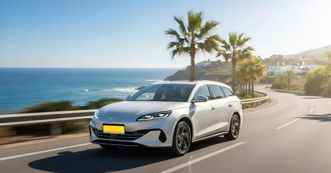 Zomerbeeld Autohopper